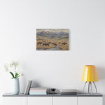 Bison Herd Yellowstone Canvas Print — Western Mountain Landscape Matte Stretched Wall Art - AquilVision