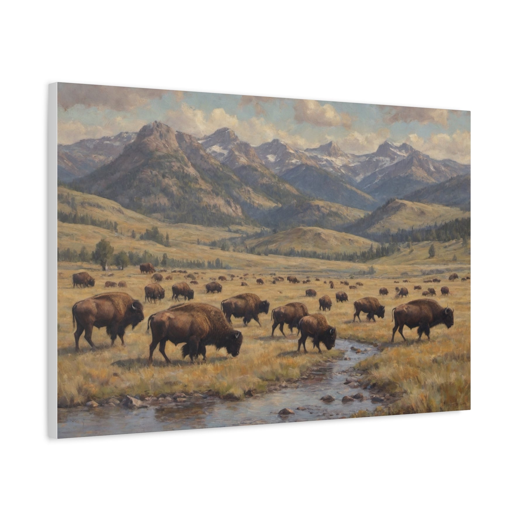 Bison Herd Yellowstone Canvas Print — Western Mountain Landscape Matte Stretched Wall Art - AquilVision