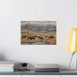 Bison Prairie Yellowstone Matte Poster — Horizontal Wildlife Wall Art - AquilVision
