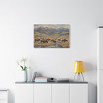 Bison Herd Yellowstone Canvas Print — Western Mountain Landscape Matte Stretched Wall Art - AquilVision