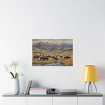 Bison Prairie Yellowstone Matte Poster — Horizontal Wildlife Wall Art - AquilVision