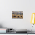 Bison Prairie Yellowstone Matte Poster — Horizontal Wildlife Wall Art - AquilVision