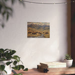 Bison Prairie Yellowstone Matte Poster — Horizontal Wildlife Wall Art - AquilVision