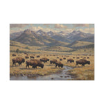 Bison Herd Yellowstone Canvas Print — Western Mountain Landscape Matte Stretched Wall Art - AquilVision