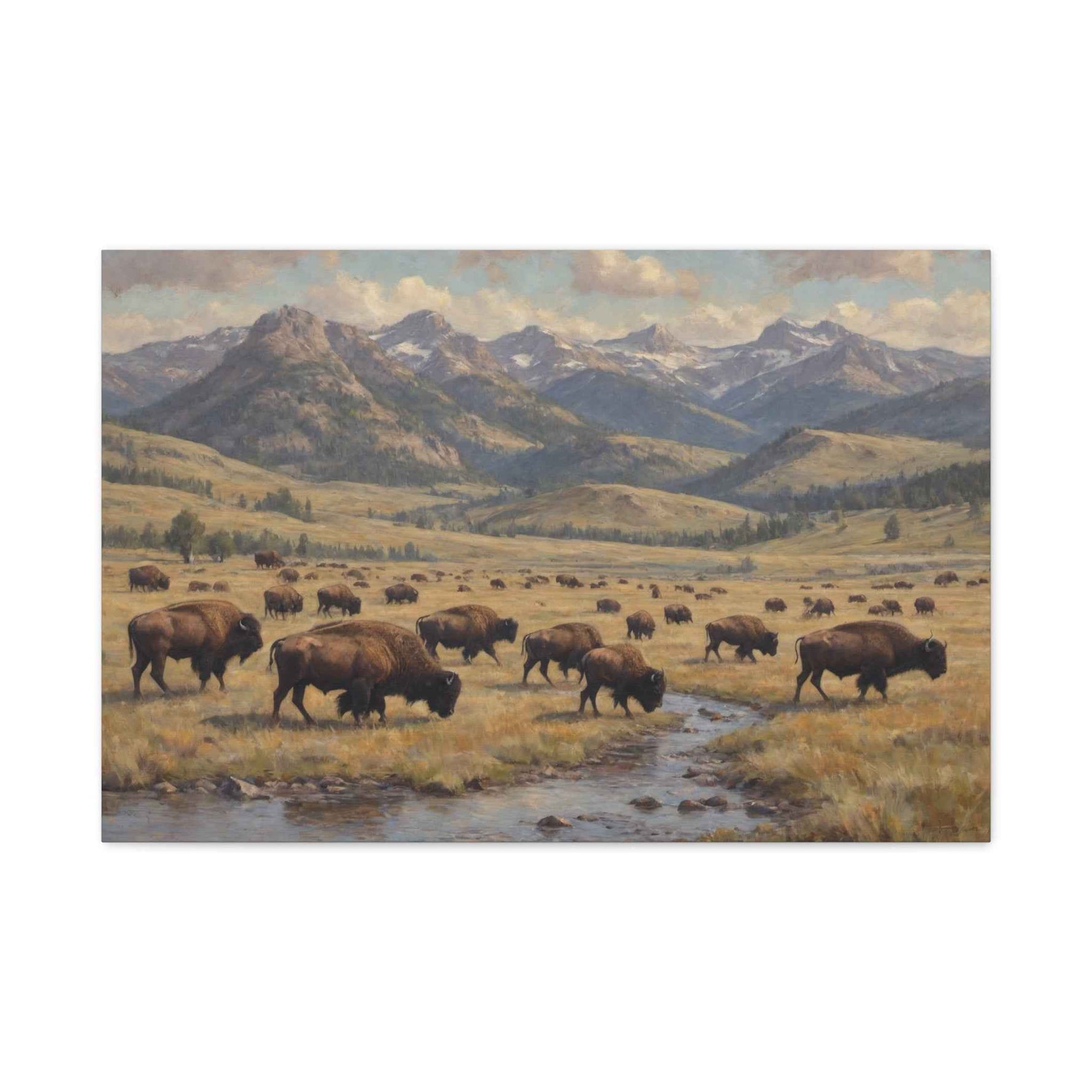 Bison Herd Yellowstone Canvas Print — Western Mountain Landscape Matte Stretched Wall Art - AquilVision