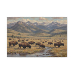 Bison Herd Yellowstone Canvas Print — Western Mountain Landscape Matte Stretched Wall Art - AquilVision