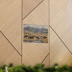 Bison Prairie Yellowstone Matte Poster — Horizontal Wildlife Wall Art - AquilVision